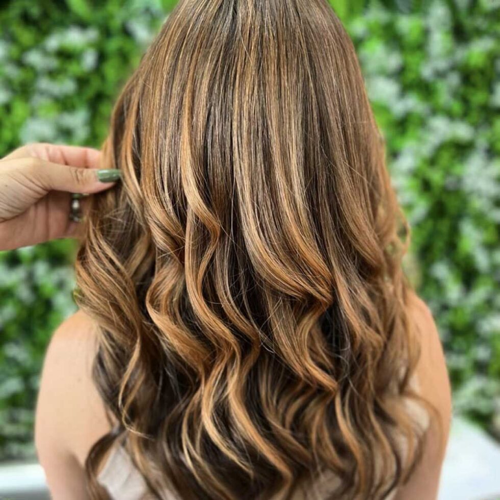 Honey Highlights in Brown Hair